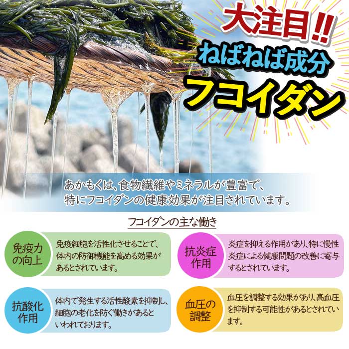 �����Τ����⤯ ��10�ѥå���������7ǯ��������ۡʥޥ������建�ˡʥ쥷���դ���