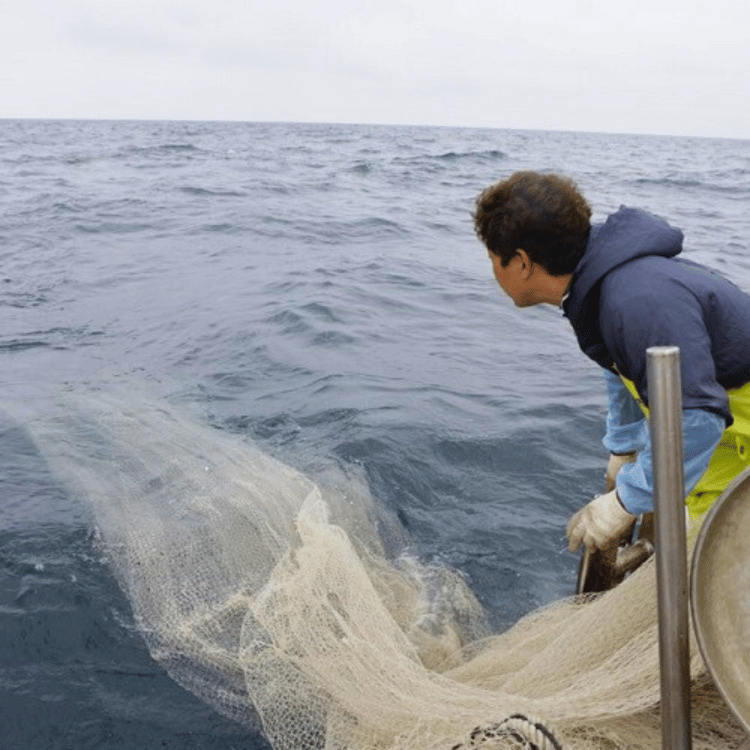 侭̣ҤХ饨ƥåȡʺС䡿ƣߣˡ