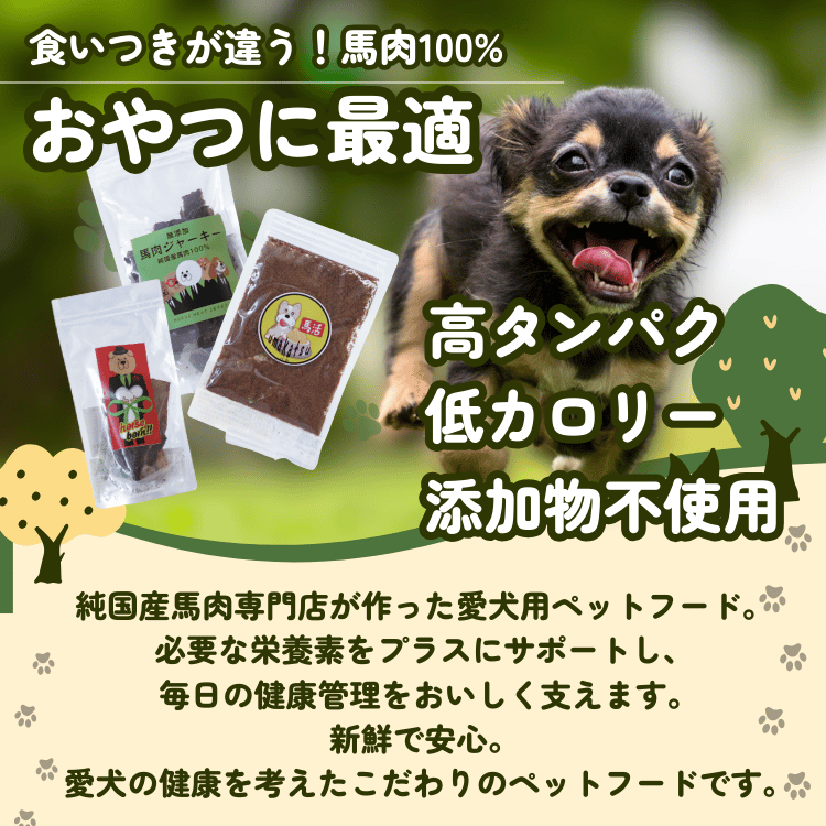 �ڤ���ѡ�����100%�������ѥɥå��ա��ɣ���ʥ��㡼�������ޡ��դ꤫�����Ϲ����㡼������