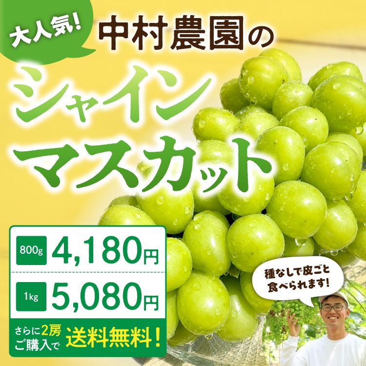 ��¼����Τ��ޡ�����γ���㥤��ޥ����å� (��800g����1kg��