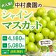 ��¼����Τ��ޡ�����γ���㥤��ޥ����å� (��800g����1kg��