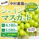 �ں������佪λ��2�������2,000˼���䡪��¼����Τ��ޡ�����γ���㥤��ޥ����åȡ���800g����1kg��