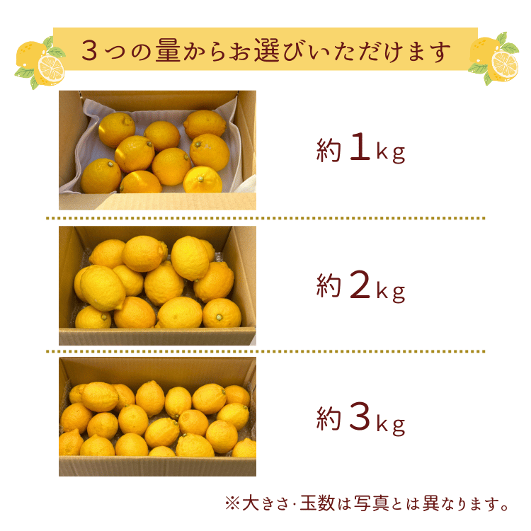 �������ڽ����Ի���ʡ�β����� ����ʹ񻺡�1kg��2kg��3kg 