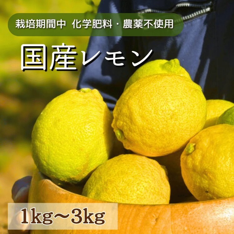 �������ڽ����Ի���ʡ�β����� ����ʹ񻺡�1kg��2kg��3kg 