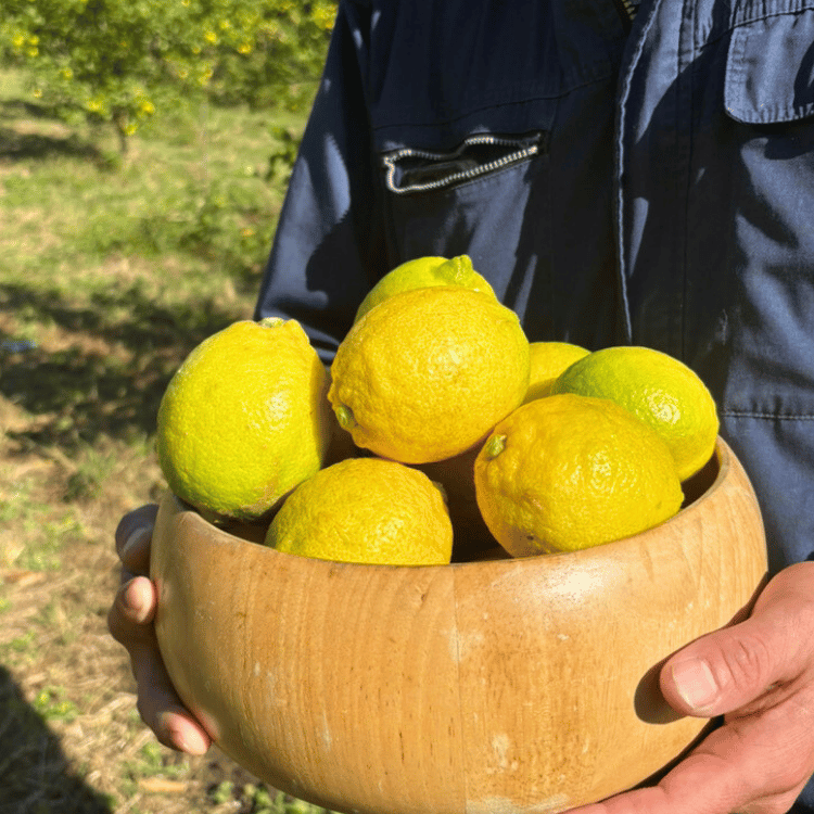 �������ڽ����Ի���ʡ�β����� ����ʹ񻺡�1kg��2kg��3kg 