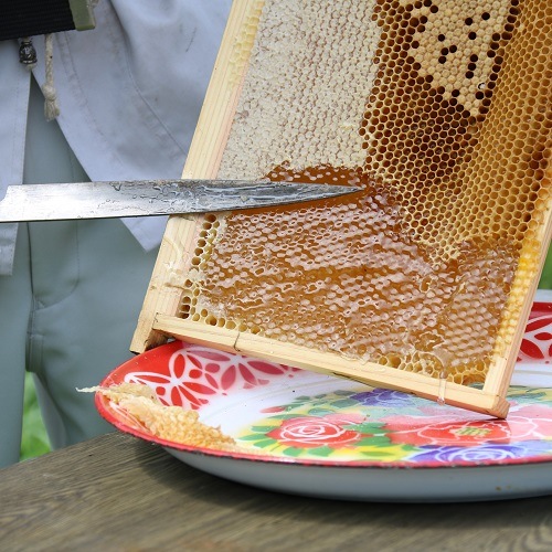 ��ƣ��˪�ࡡ�Ϥ��ߤġʤ�󤲡�