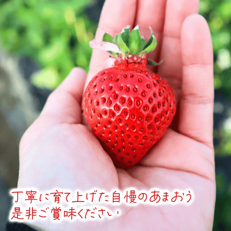 ���ե�����ν��������ޤ��� ̣�襤�Ż롦���äפ���300g��6��15γ�ˡ�2�ѥå���4�ѥå�