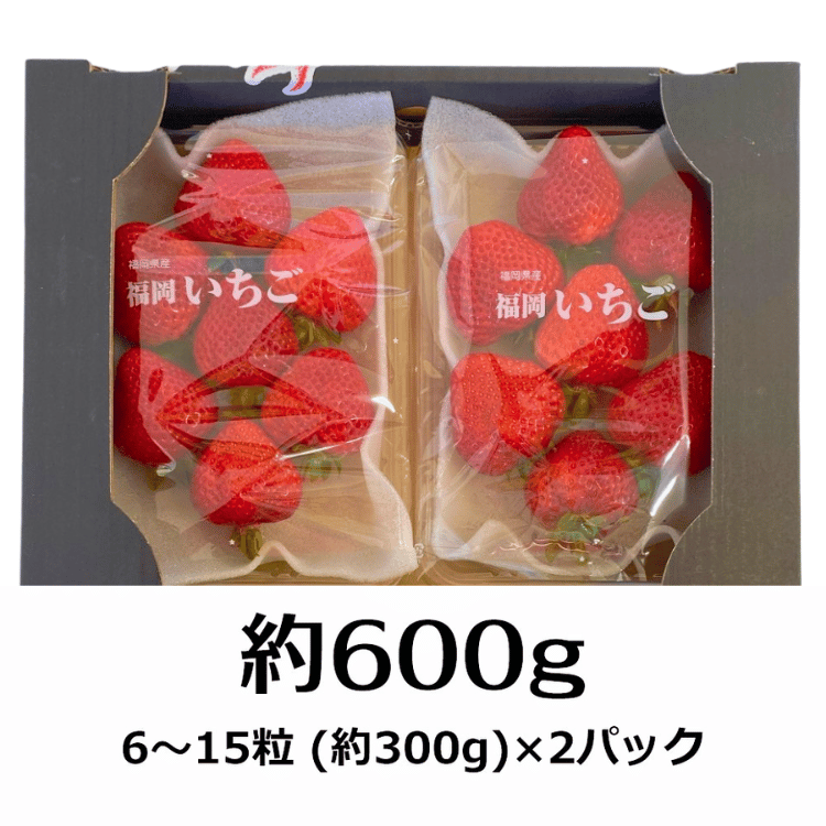 ���ե�����ν��������ޤ��� ̣�襤�Ż롦���äפ���300g��6��15γ�ˡ�2�ѥå���4�ѥå�
