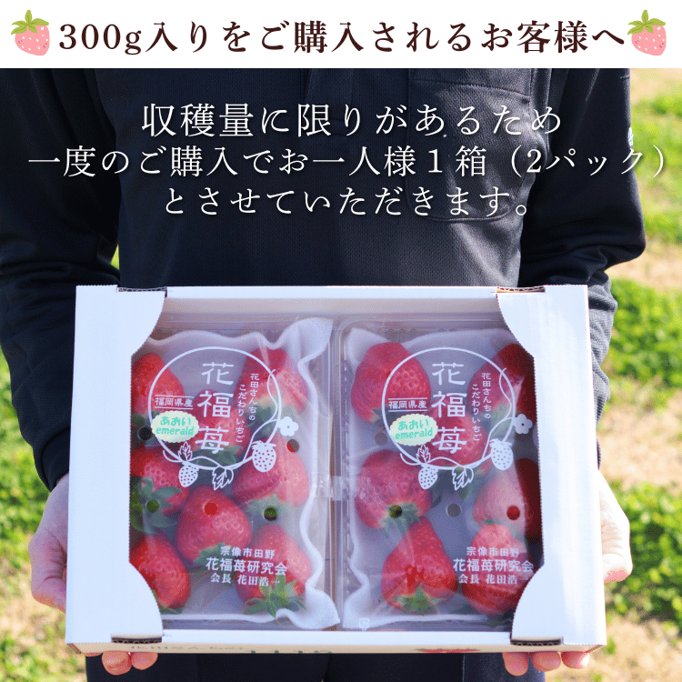 ��4��12���ޤǡ۲��Ĥ�����Τ�����ꤤ�����ز�ʡ����300g��6��9γ�ˡ�2�ѥå������������2�ѥå���1Ȣ�ˤޤ�