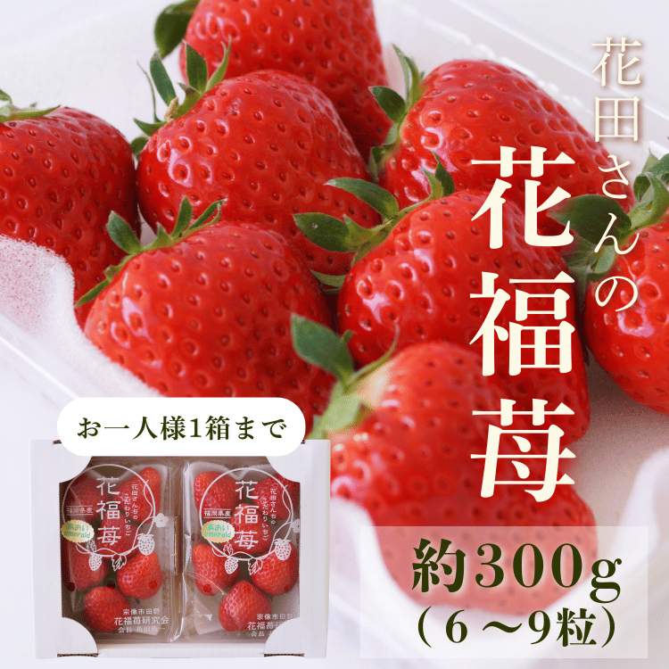 ��4��12���ޤǡ۲��Ĥ�����Τ�����ꤤ�����ز�ʡ����300g��6��9γ�ˡ�2�ѥå������������2�ѥå���1Ȣ�ˤޤ�