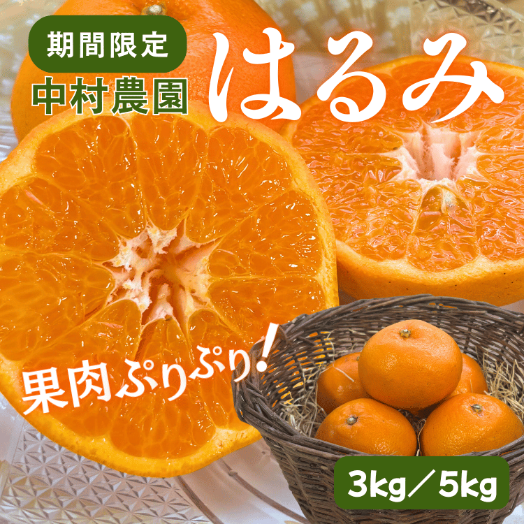 ����¼����۴Ť��ƥ��塼�����ʽմ��� �Ϥ�ߡ�3kg��5kg