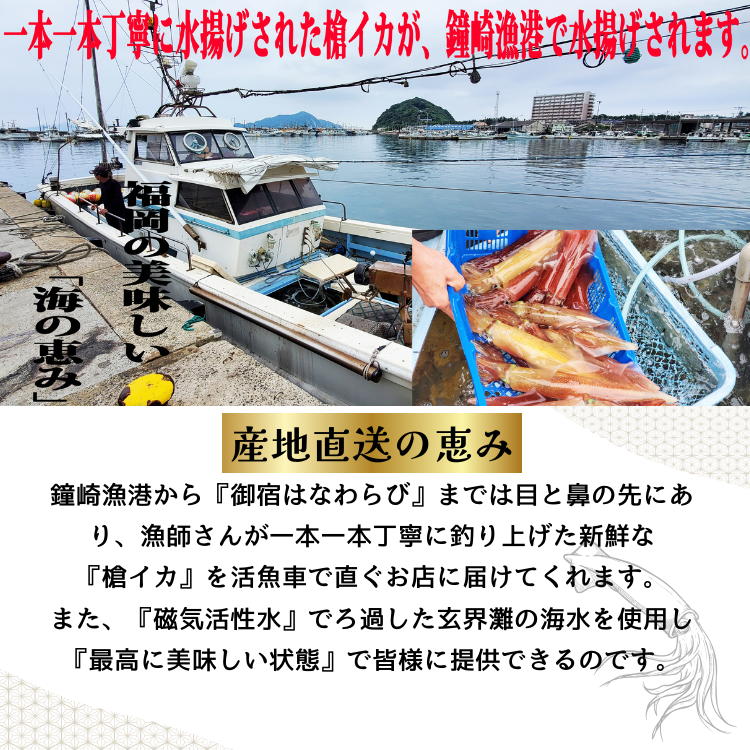 ��껺ŷ���褭�䥤����¤�� 1�ա�150g��180g�ˡڸ�ɤϤʤ��ӡۡ������