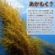 ��ȯ�䵭ǰ���̥����ڡ�����ۤ狼�⤯�ä��������̣�դ�������(�ޥ������建)�������
