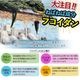 ��ȯ�䵭ǰ���̥����ڡ�����ۤ狼�⤯�ä��������̣�դ�������(�ޥ������建)�������