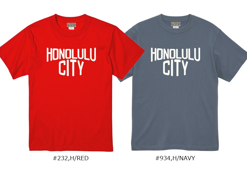 BILLVAN STANDARD �ӥ�Х� HONOLULU CITY �Ի�T����� 625sshnc ���ᥫ��