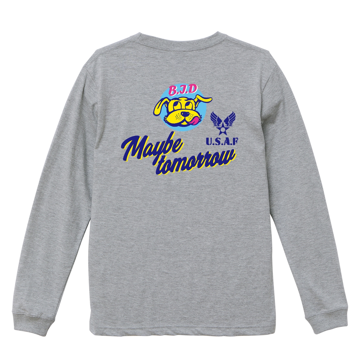 BILLVAN ������ơ��� DOG FIGHTER AIR FORCE ����T����� Ĺµ  ����T ���ᥫ��