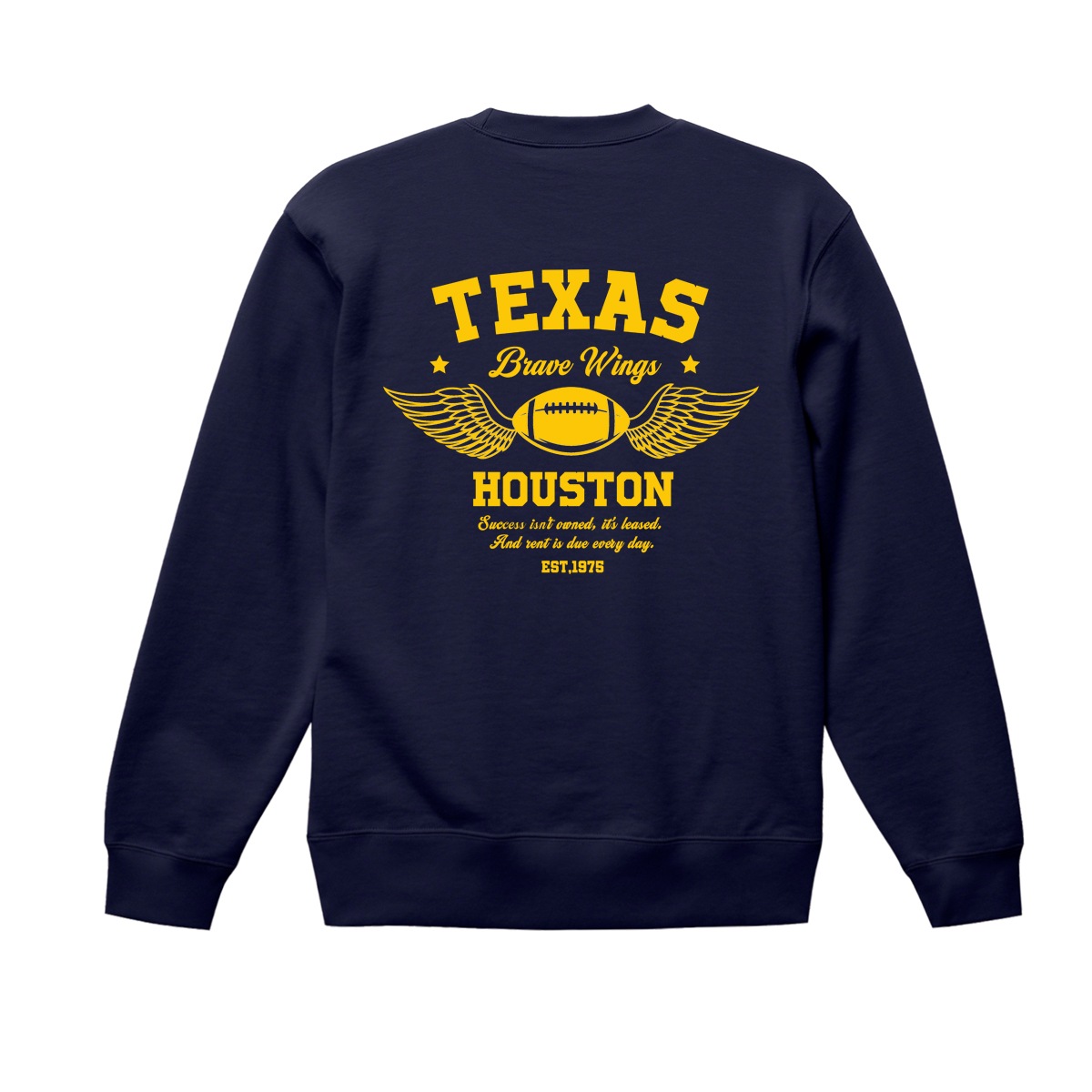 BILLVAN ����������� TEXAS Brave Wings ΢�ӥ��롼�������å� �ȥ졼�ʡ� �ӥ�Х� ���ᥫ��