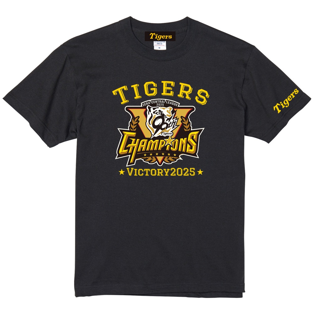 2025꡼ͥǰ TġHTV-25001۵ľǧ