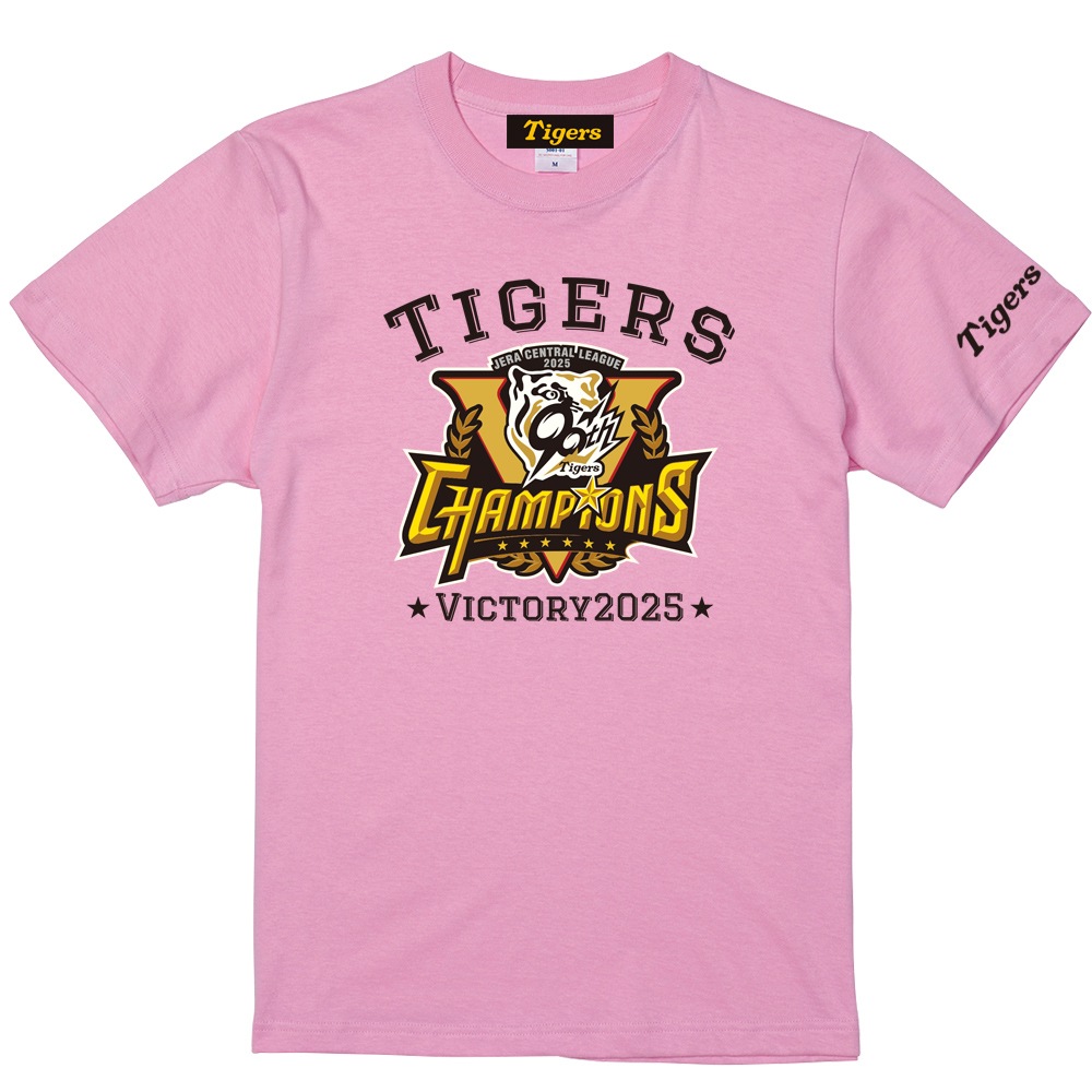 2025꡼ͥǰ TġHTV-25001۵ľǧ