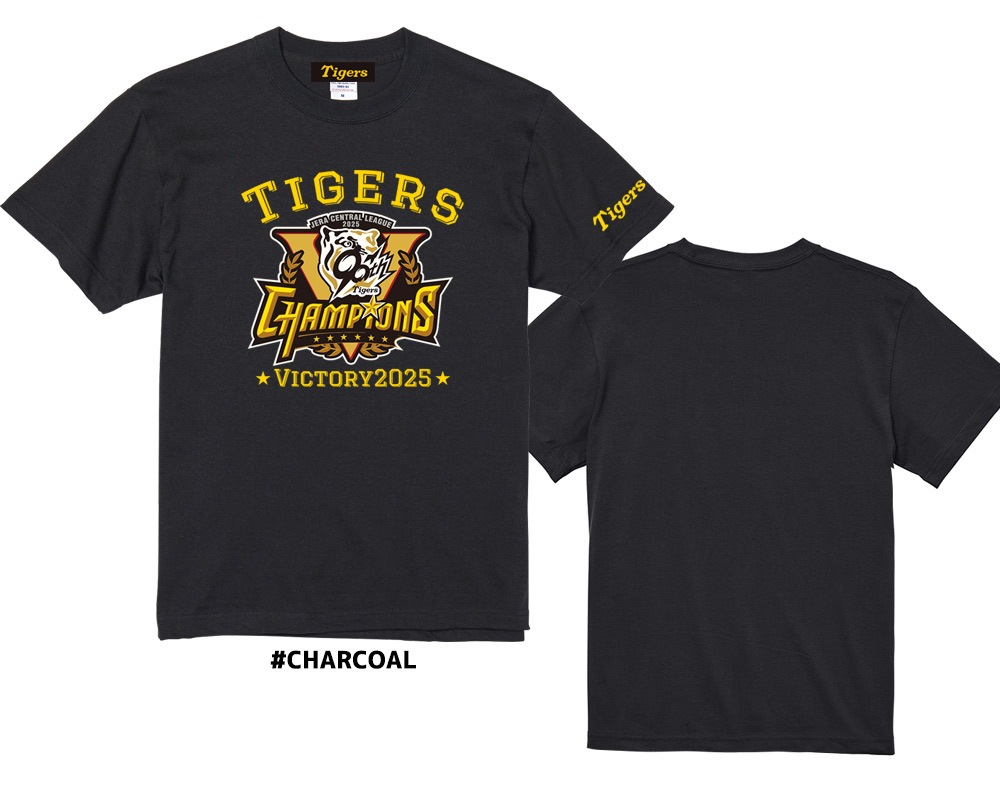 2025꡼ͥǰ TġHTV-25001۵ľǧ