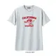 BILLVAN SPORTS ӥХSPEED STARۿ®ᥫDRY T0608