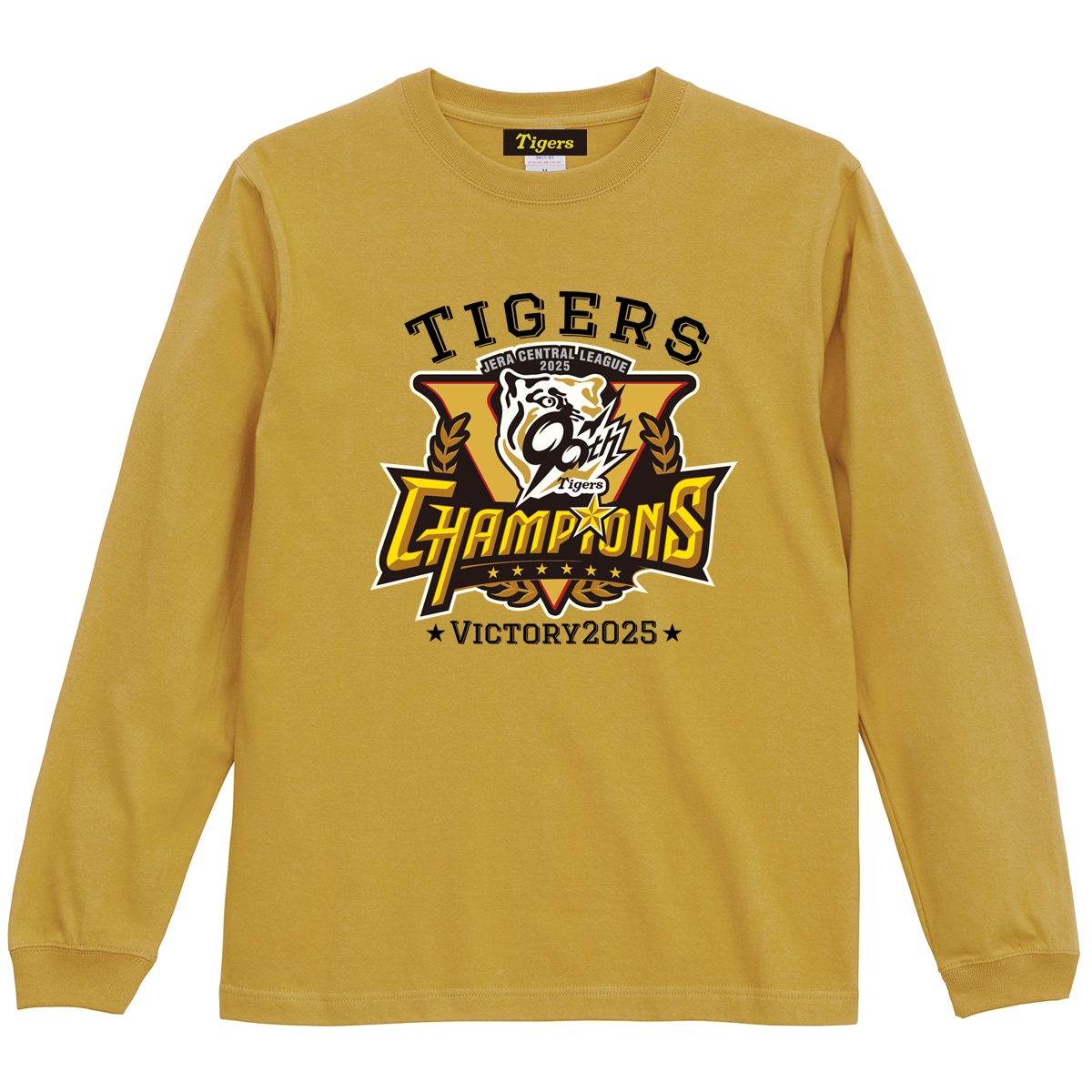 2025꡼ͥǰ  TġHTV-25007۵ľǧ