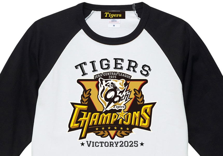 2025꡼ͥǰ  饰ʬµTġHTV-25011۵ľǧ