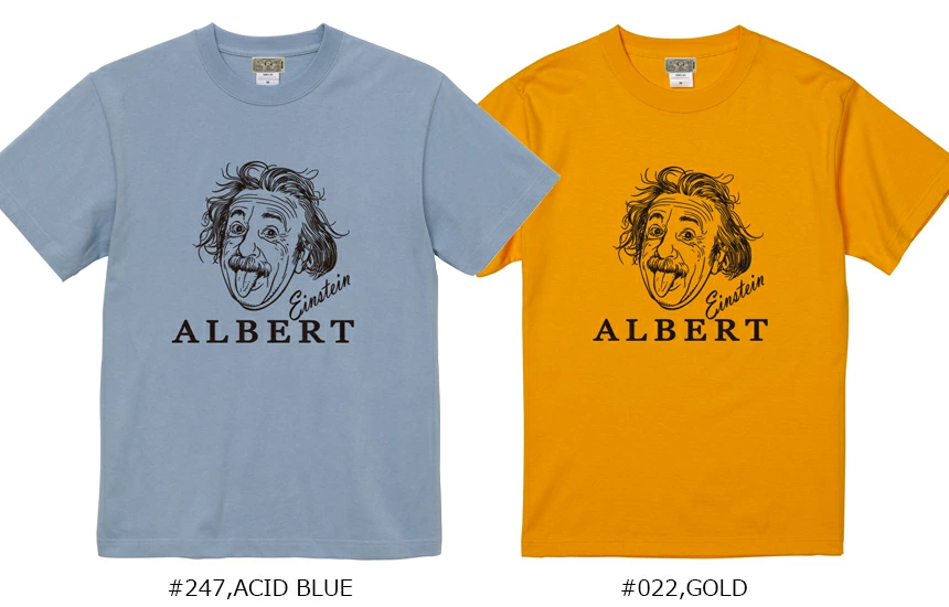 BILLVAN ����������� ������ơ����ץ��� Albert Einstein ȾµT����� �����󥷥奿���� �ӥ�Х� ���ᥫ��