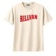 BILLVAN SPORTS BILLVAN�����å����� �ۿ�®�����ᥫ��DRY T����� ���˥� ���ݡ��� �����ȥɥ�