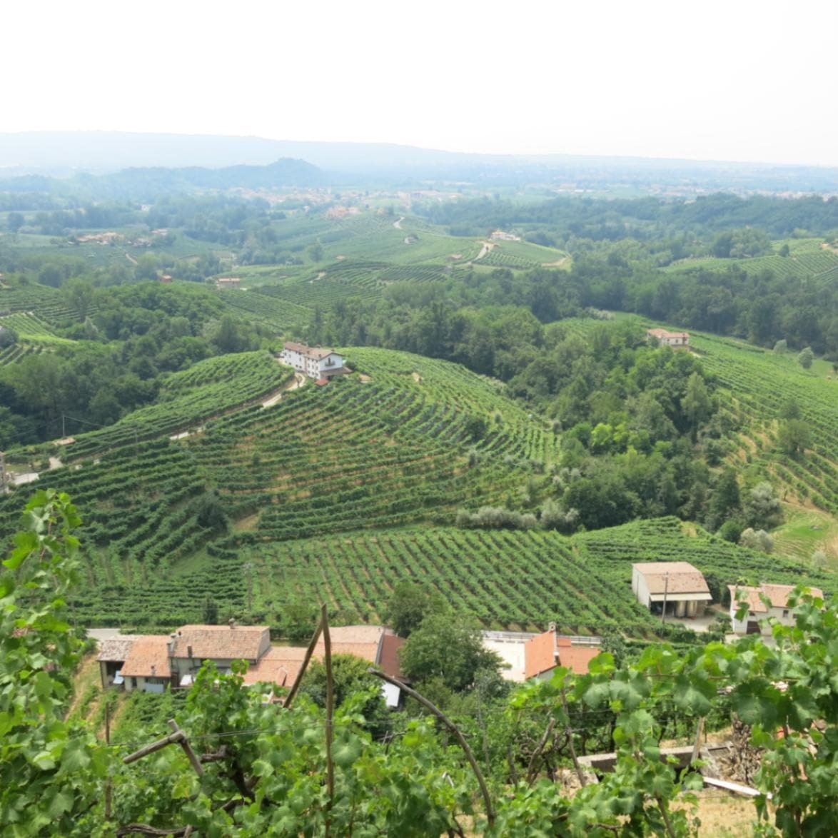 カ・デイ・ザーゴ / ヴァルドッビアーデネ・プロセッコ (コル・フォンド) 2019