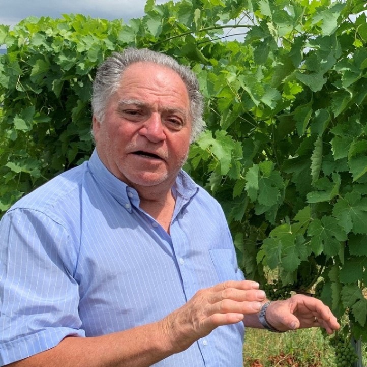 サルヴァトーレ・モレッティエーリ / タウラージ ヴィーニャ・チンクエ・クエルチェ 2011 産地,イタリア,カンパーニャ