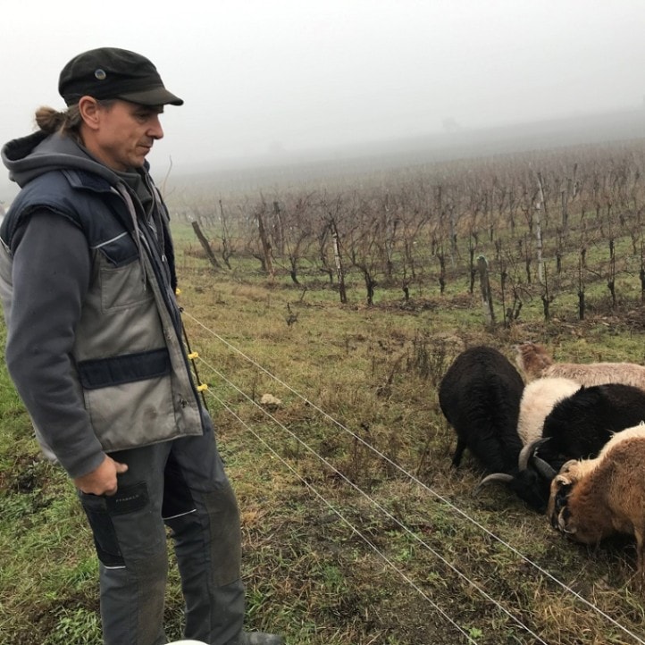 エルンスト・トリーバウマー / トリデンドロン 2018