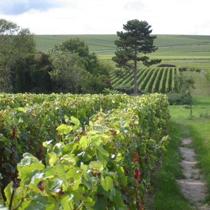 ブノワ・ライエ / エクストラ・ブリュット ブラン・ド・ノワール<br>※お一人様1本まで