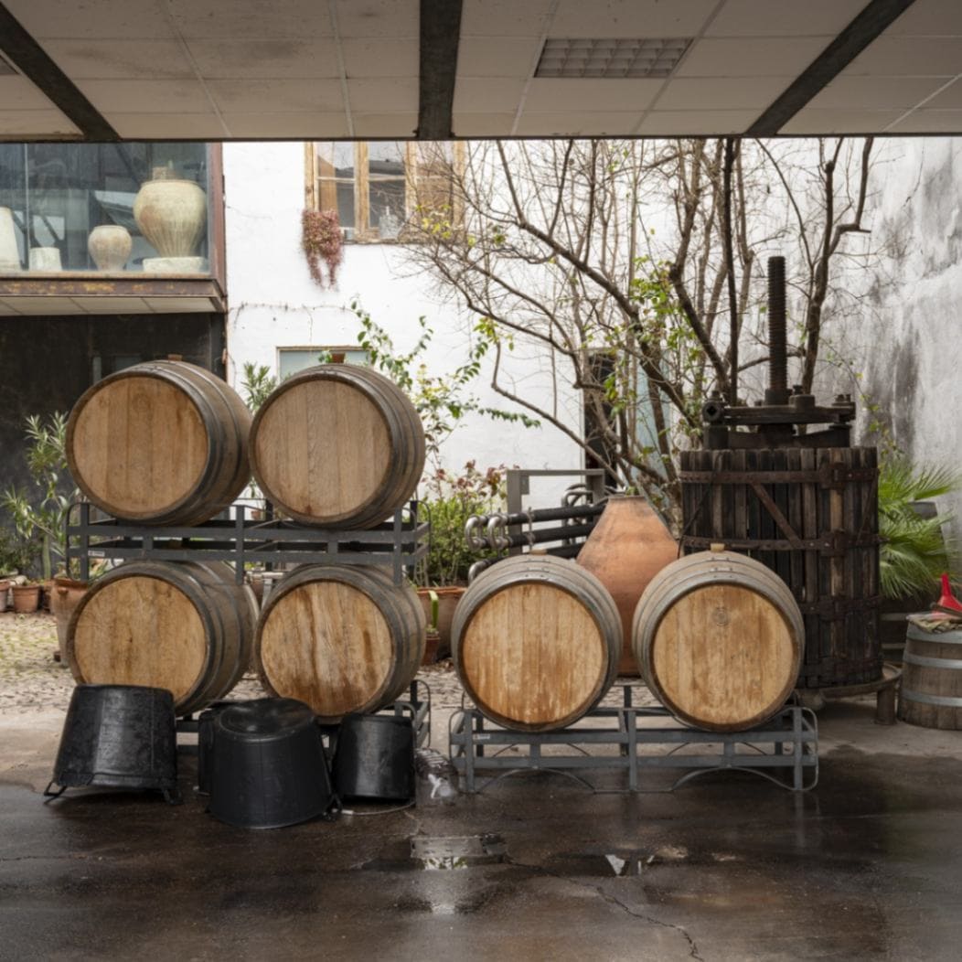 エセンシア・ルラル / パンパネオ テンプラニーリョ エコ 2021