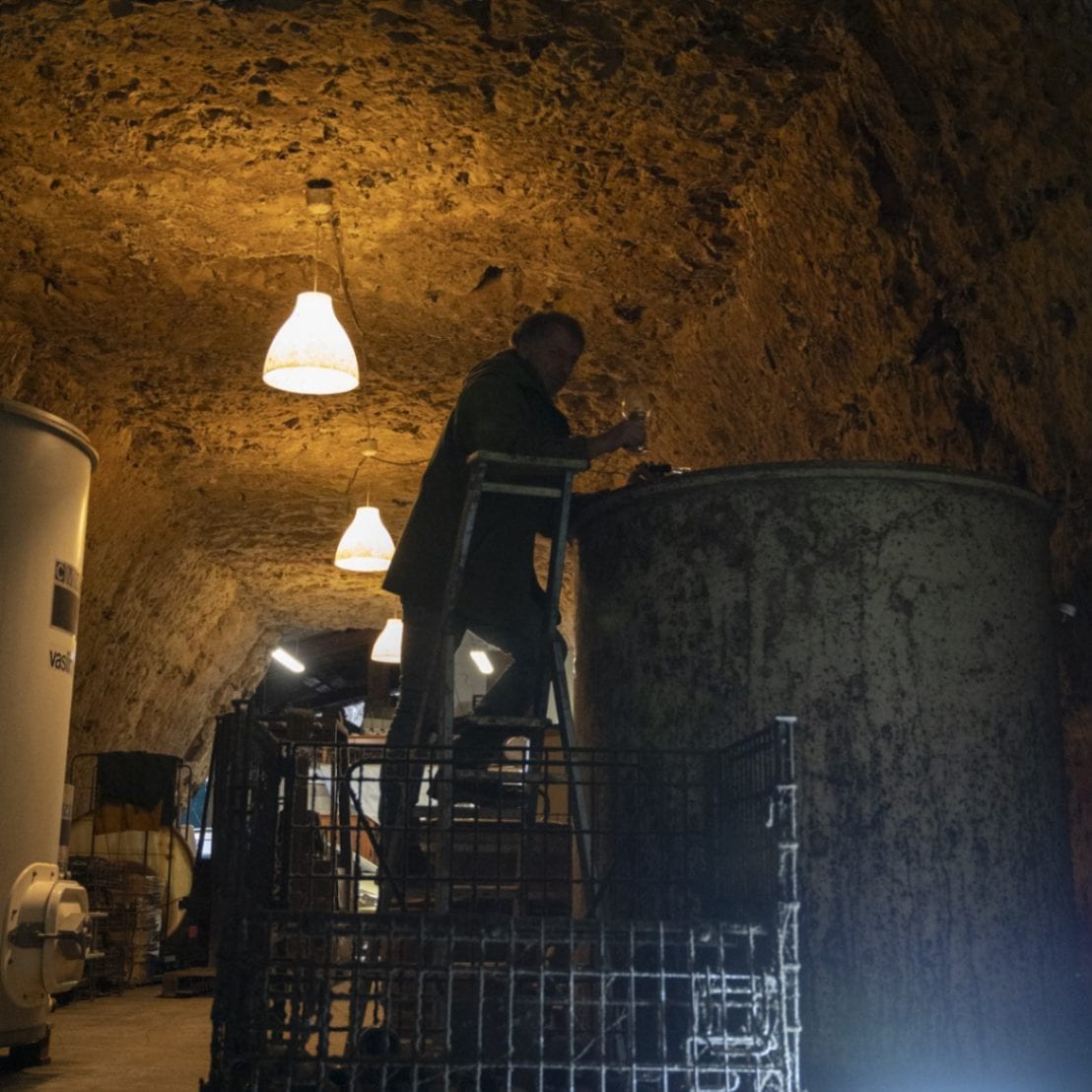 二コラ・ルナール 3本セット<br>(ラングドック リムー)