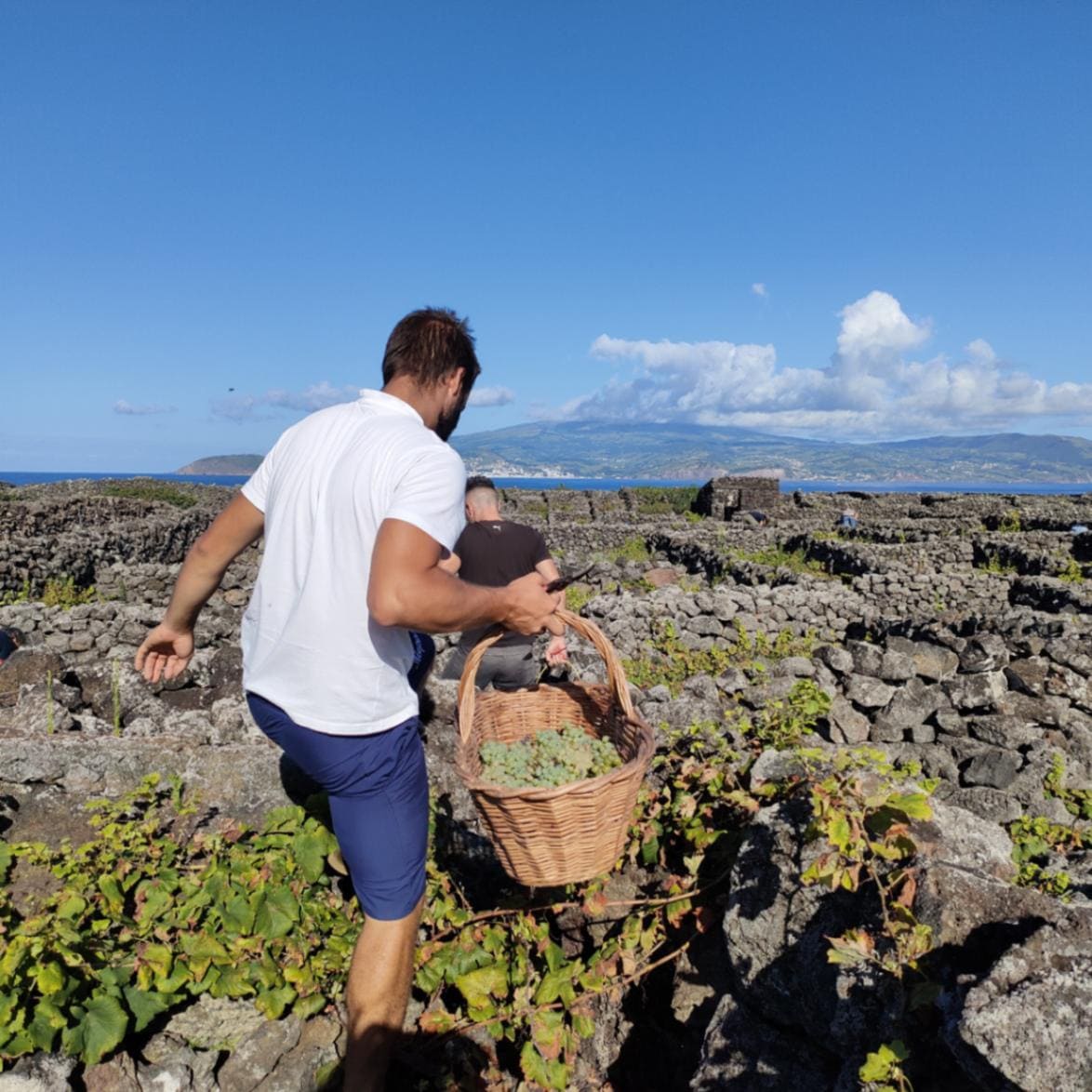 エントレ・ペドラシュ / ピコ　アリント・ドシュ・アソーレス 2021<br>