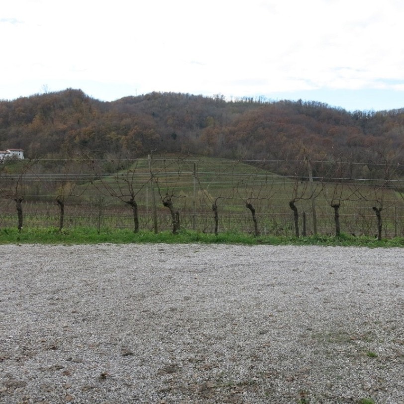 レ・ドゥエ・テッレ / フリウーリ・コッリ・オリエンターリ　サクリサッシ・ロッソ 2018