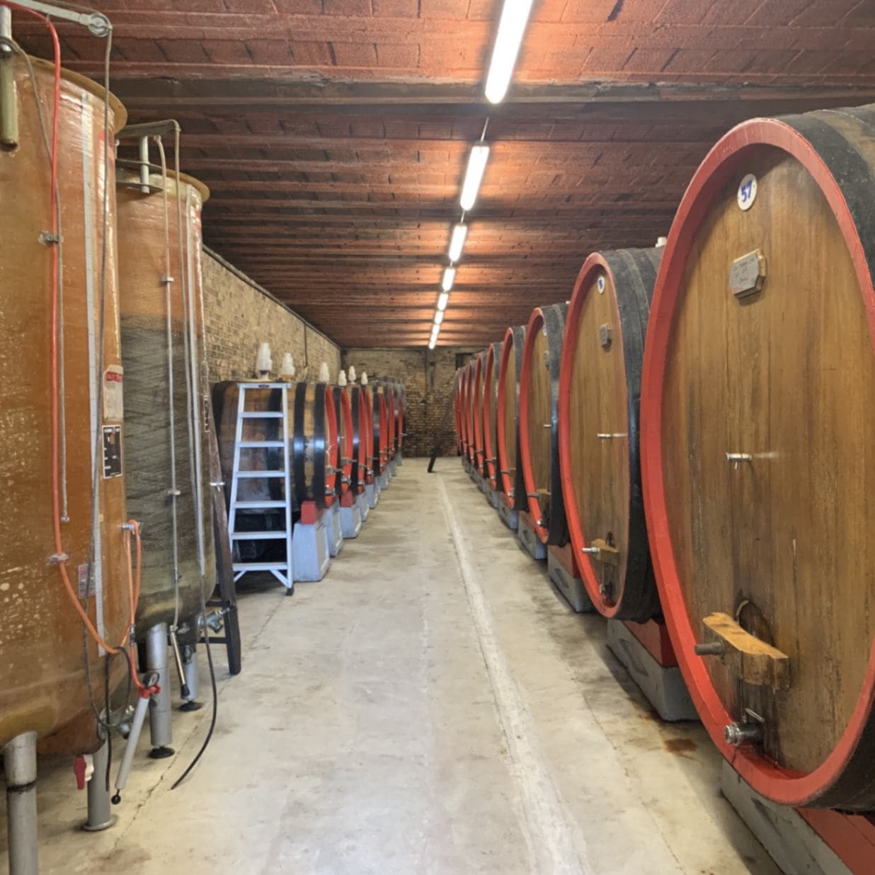 トリンケーロ3本セット<br>（タイヨー垂直飲み比べ） | ワインタイプ