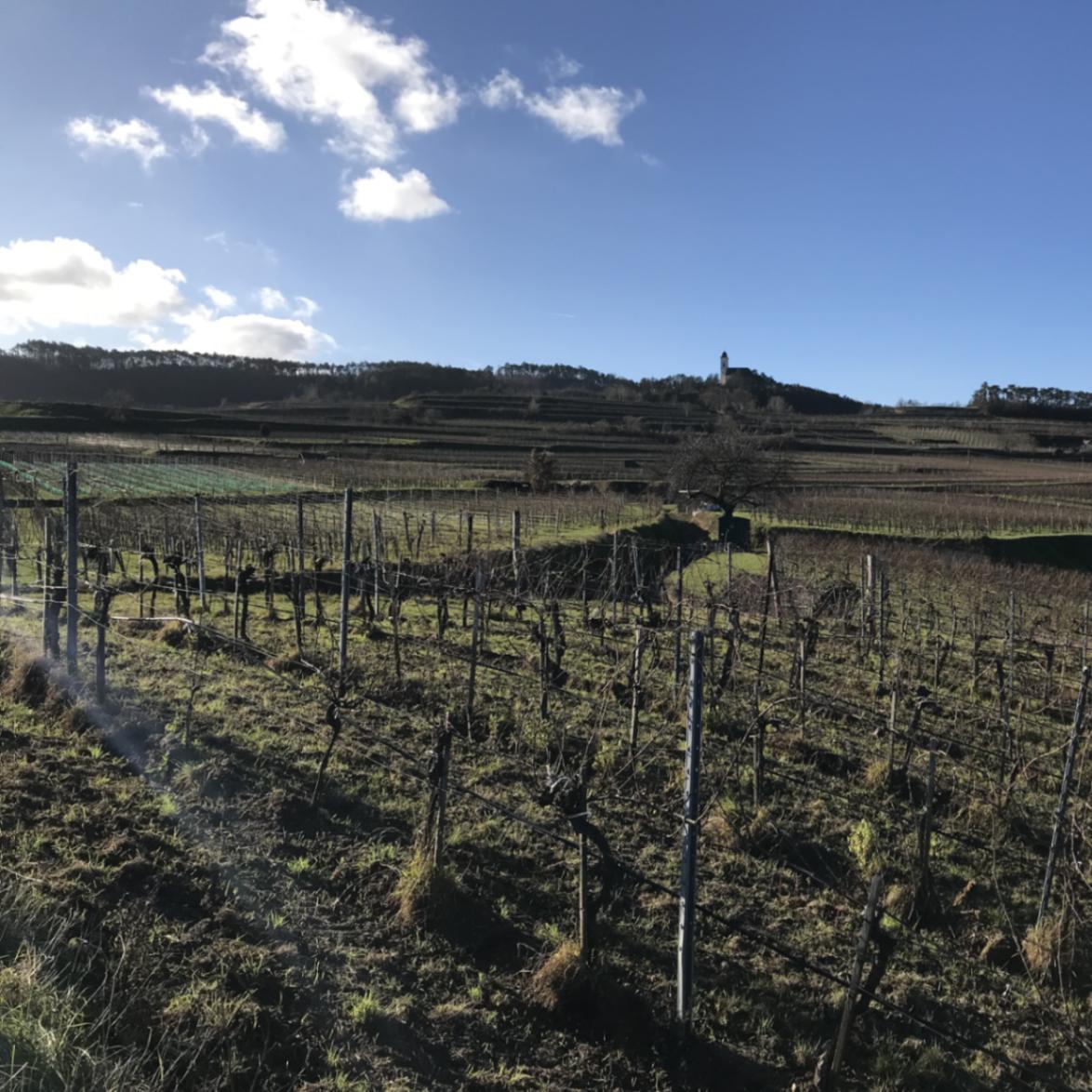 ホッホ エッセンセス / ピュア・ジョイ・ボタニカルス ローズ