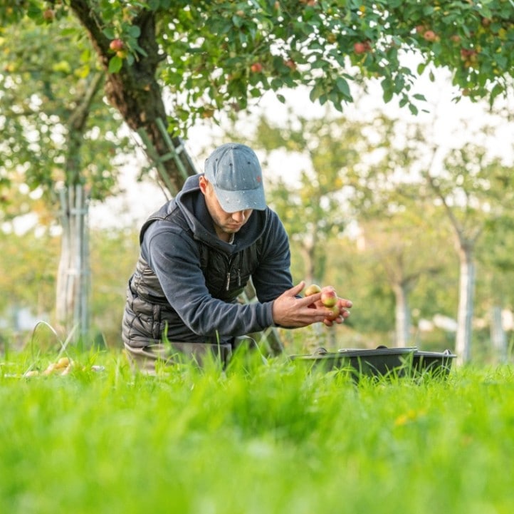 シプリアン・リルー / ポワレ プレミス 2022
