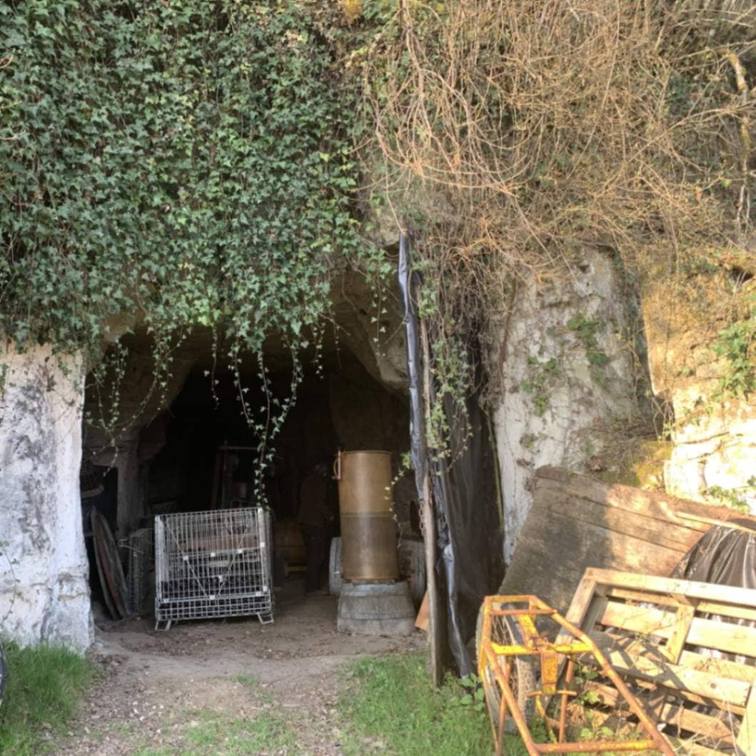 ジェラール・マリュラ / クロ・ド・バッコネル 2021