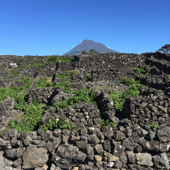 アデガ・ド・ヴルカォン / アソーレス　アメイシャンバー 2022