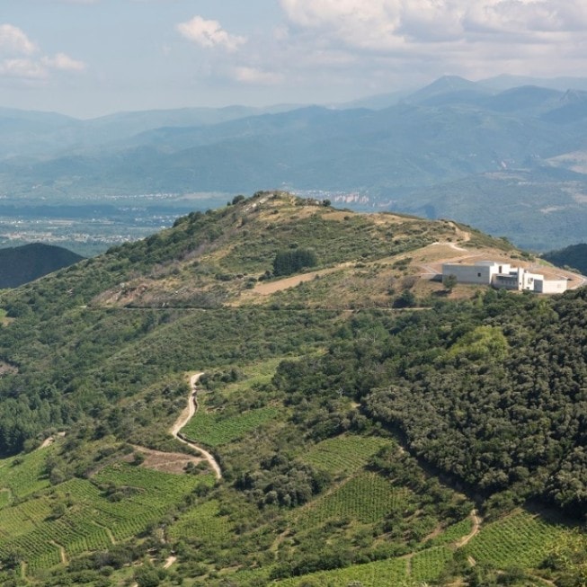 デスセンディエンテス・デ・ホセ・パラシオス / ペタロス 2021