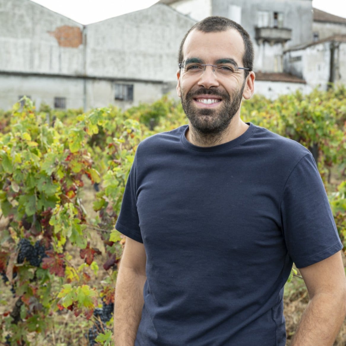 ジョアォン・コシュタ / ベイオルテ シダーデ・ティント 2020