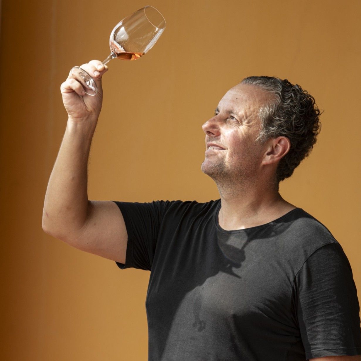 ルイシュ・ゴメシュ / バイラーダ ジース ヴィニャシュ・ヴェーリャシュ・ティント 2020 産地,ポルトガル,ポルトガル,Luís