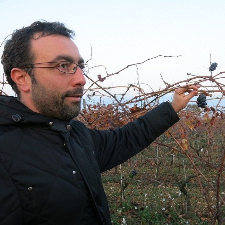 ファタローネ / ジョイア・デル・コッレ リゼルヴァ 2021