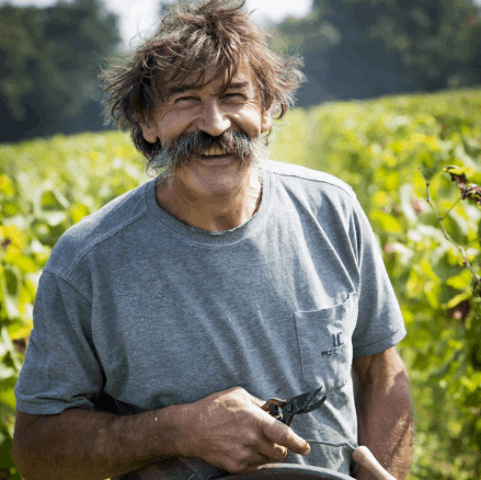 ドメーヌ・ランドロン / ヴァン・ムスー アトモスフェール （ミシェル・トルメーラベル）