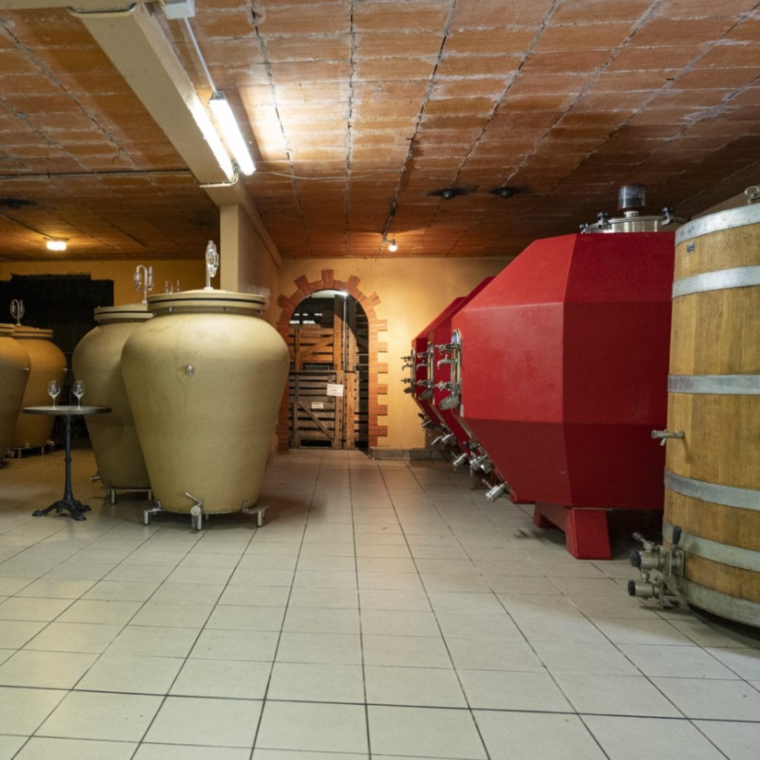 ドメーヌモン Dom Gris 山田堂 ヨイチ LOWBROW テールドシエル 楽天