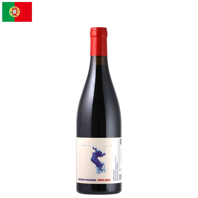 アントニオ・マデイラ / ダォン ティント 2022