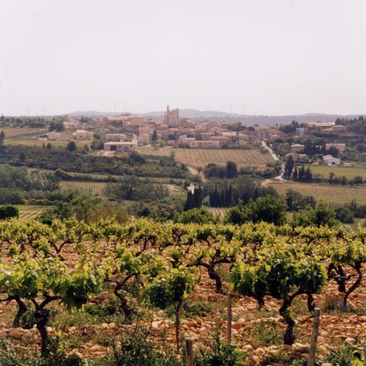 エステザルグ協同組合 / コート・デュ・ローヌ プレン・シュッド 2024 (3L BIB)